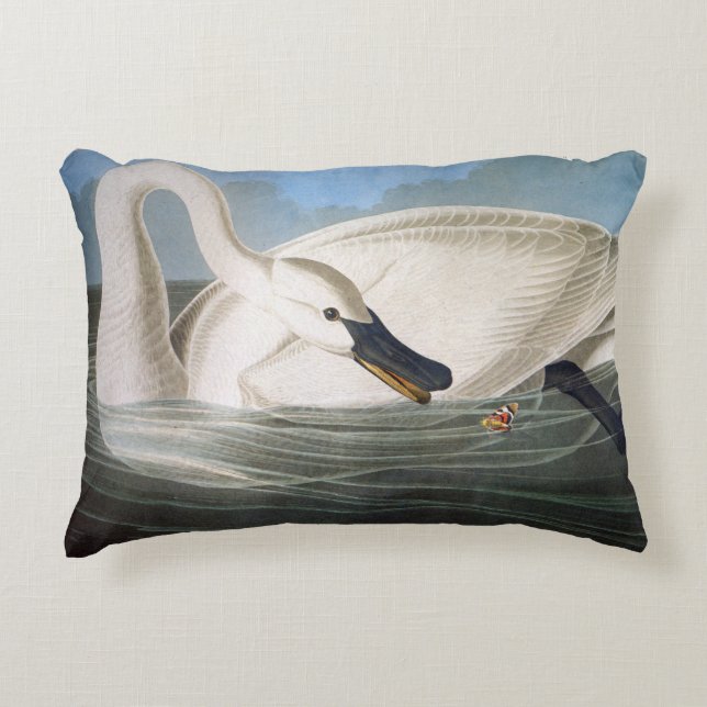 Trumpeter swan van John James Audubon Accent Kussen (Voorkant)