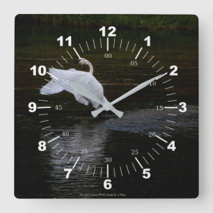 Trumpeter Swan Vierkante Klok