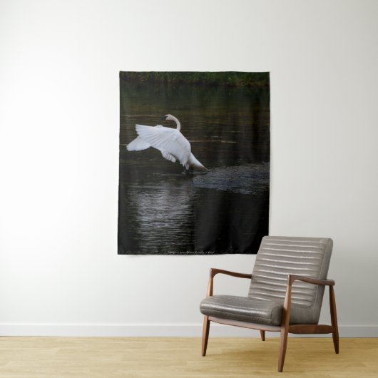 Trumpeter Swan Wandkleed (In situ)