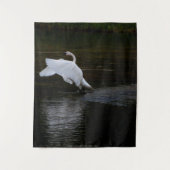 Trumpeter Swan Wandkleed (Voorkant)
