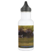 Trumpeter Swan Waterfles (Links)