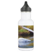 Trumpeter Swan Waterfles (Rechts)
