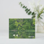 Trumpeter Swans-Briefkaart Briefkaart (Staand voorkant)