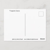 Trumpeter Swans-Briefkaart Briefkaart (Achterkant)