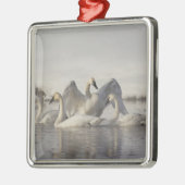 Trumpeter Swans in the Madison River Metalen Ornament (Links)