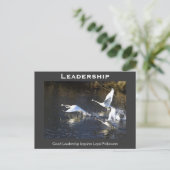 Trumpeter Swans Motivatie Gifts Briefkaart (Staand voorkant)