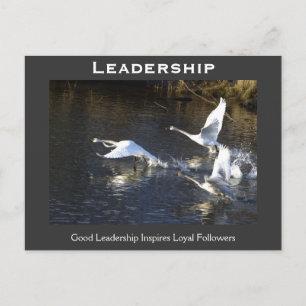 Trumpeter Swans Motivatie Gifts Briefkaart