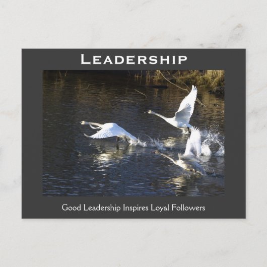 Trumpeter Swans Motivatie Gifts Briefkaart (Voorkant)