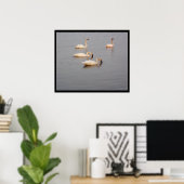 Trumpeter Swans-Poster Poster (Thuiskantoor)