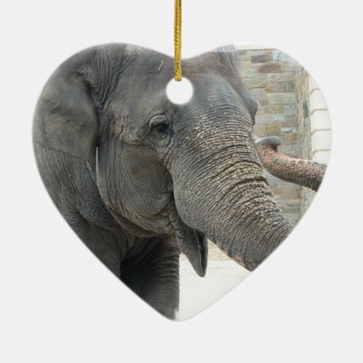 Trumpeting Elephant Ornament (Achterkant)