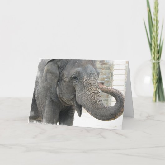 Trumpeting Elephant Wenskaart Kaart (Voorkant)