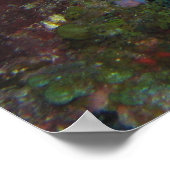 Trumpetvis II Poster (Hoek)
