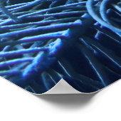 Trumpetvis in Utila Poster (Hoek)