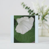 Trumpetvormige witte bloem kaart (Staand voorkant)