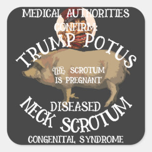 TRUMP'S NEK SCROTUM IS ZWANGER VIERKANTE STICKER