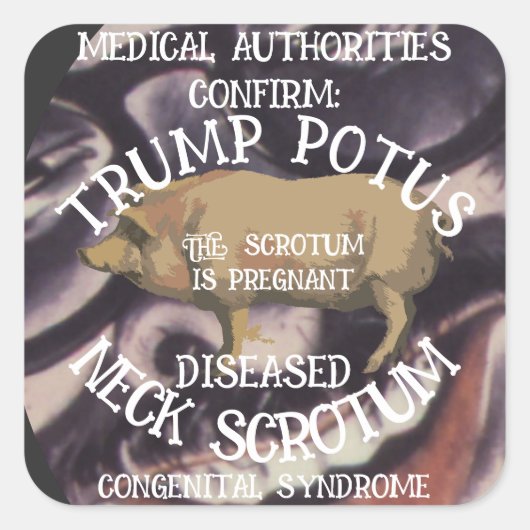 TRUMP'S NEK SCROTUM IS ZWANGER VIERKANTE STICKER (Voorkant)