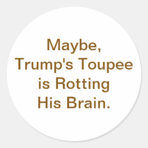 Trump's Pruik Rotte Hersenen Hankamer Artjunkhaus Ronde Sticker