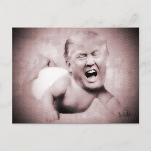 Trump's roze slip Briefkaarten op het President (Voorkant)