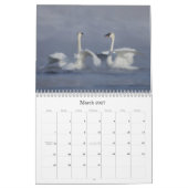 Trumpter Swan Wall Agenda Kalender (Mar 2027)
