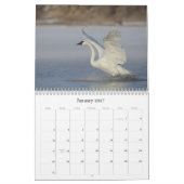 Trumpter Swan Wall Agenda Kalender (Jan 2027)