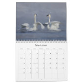 Trumpter Swan Wall Agenda Kalender (Mar 2026)
