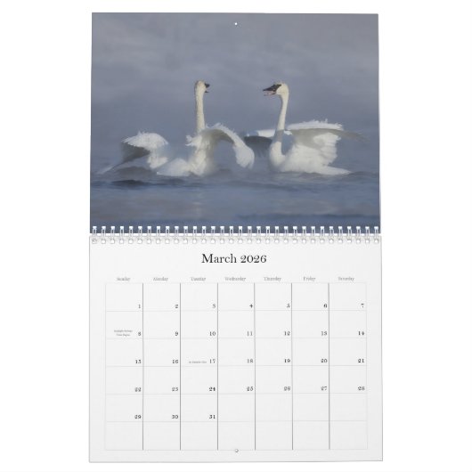 Trumpter Swan Wall Agenda Kalender (Mar 2026)