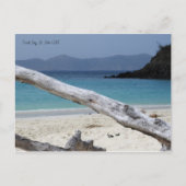 Trunk Bay Beach Briefkaart (Voorkant)