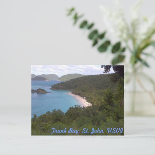 Trunk Bay Briefkaart (Staand voorkant)