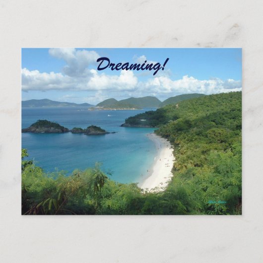 Trunk Bay, Dreaming! Briefkaart (Voorkant)