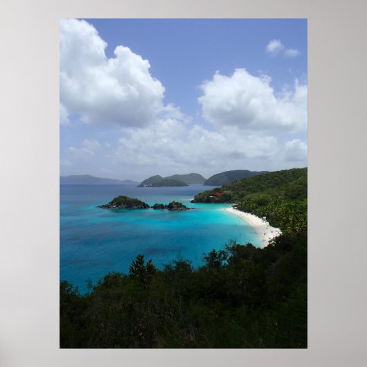 Trunk Bay, St. John, USVI Poster (Voorkant)