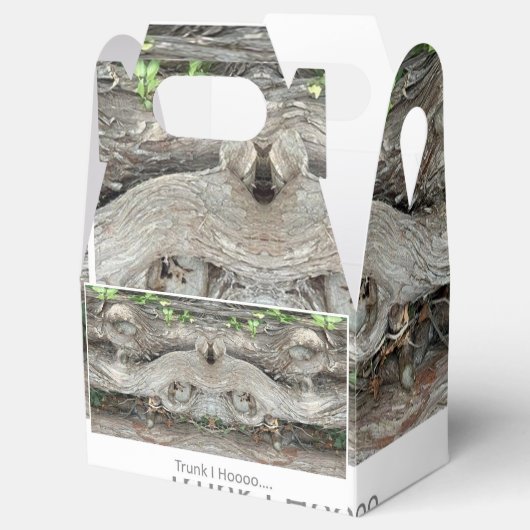 Trunk I Hook... Bedankdoosjes (Geopend)