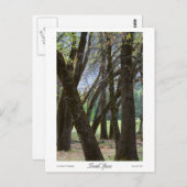 Trunk Space-Prints Briefkaart (Voorkant / Achterkant)