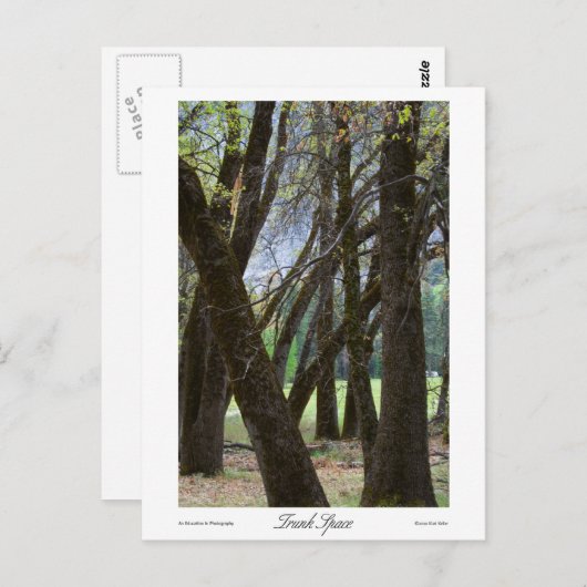 Trunk Space-Prints Briefkaart (Voorkant / Achterkant)