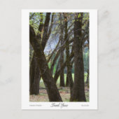 Trunk Space-Prints Briefkaart (Voorkant)