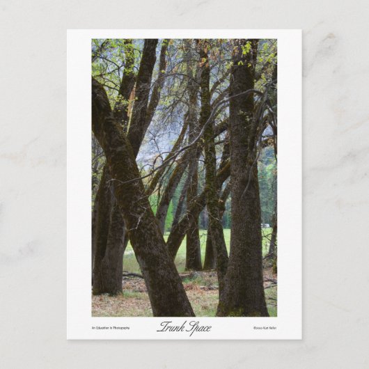 Trunk Space-Prints Briefkaart (Voorkant)