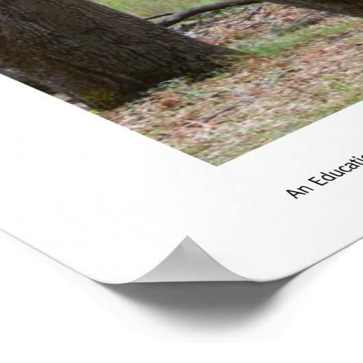 Trunk Space-Prints Poster (Hoek)