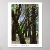 Trunk Space-Prints Poster (Voorkant)