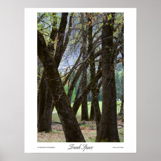 Trunk Space-Prints Poster (Voorkant)