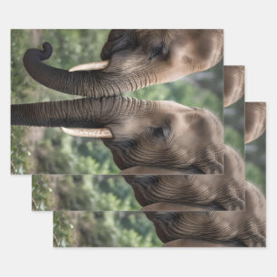 Trunk to Trunk: Een zachte olifant omhelzen Inpakpapier Vel