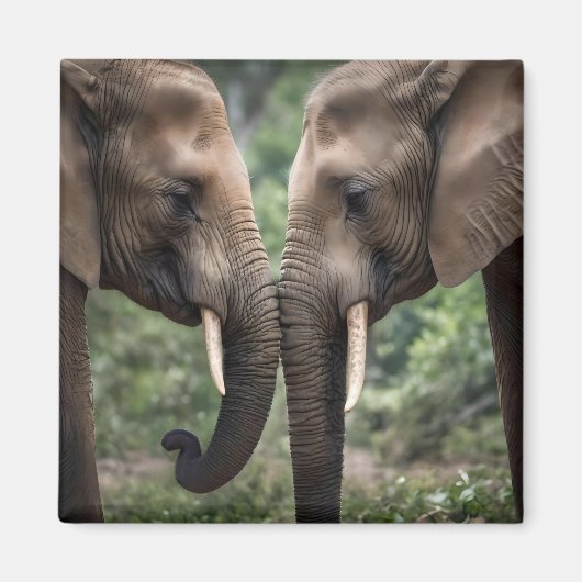 Trunk to Trunk: Een zachte olifant omhelzen Magneet (Voorkant)