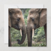 Trunk to Trunk: Een zachte olifant omhelzen Save The Date (Achterkant)