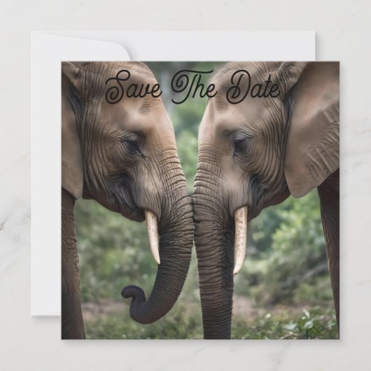 Trunk to Trunk: Een zachte olifant omhelzen Save The Date (Voorkant)