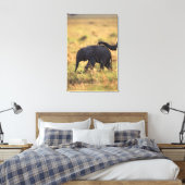 Trunk van olifanten die de nakomelingen raken, Ken Canvas Afdruk (Insitu (Slaapkamer))