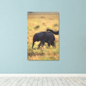 Trunk van olifanten die de nakomelingen raken, Ken Canvas Afdruk (Insitu (Houten vloer))