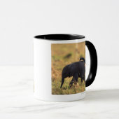 Trunk van olifanten die de nakomelingen raken, Ken Mok (Voorkant rechts)