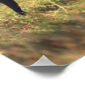 Trunk van olifanten die de nakomelingen raken, Ken Poster (Hoek)