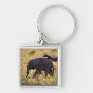 Trunk van olifanten die de nakomelingen raken, Ken Sleutelhanger