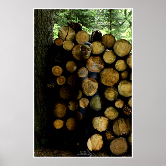 Trunks by Johannes Stötter Poster (Voorkant)