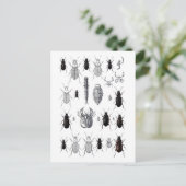 Truppe von alien briefkaart (Staand voorkant)