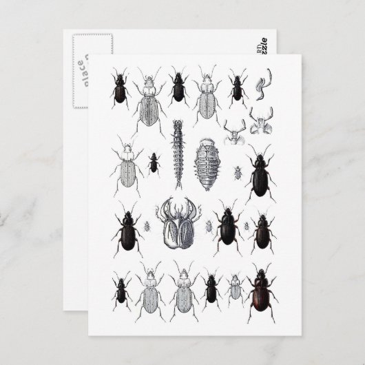 Truppe von alien briefkaart (Voorkant / Achterkant)